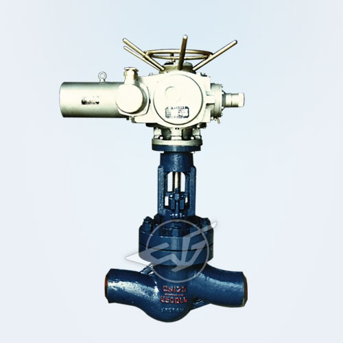 High temperature and high pressure electric globe valve