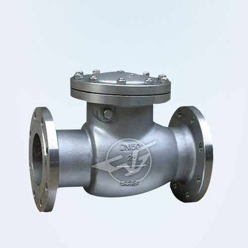 Stainless steel swing check valve