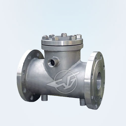 Insulation check valve 